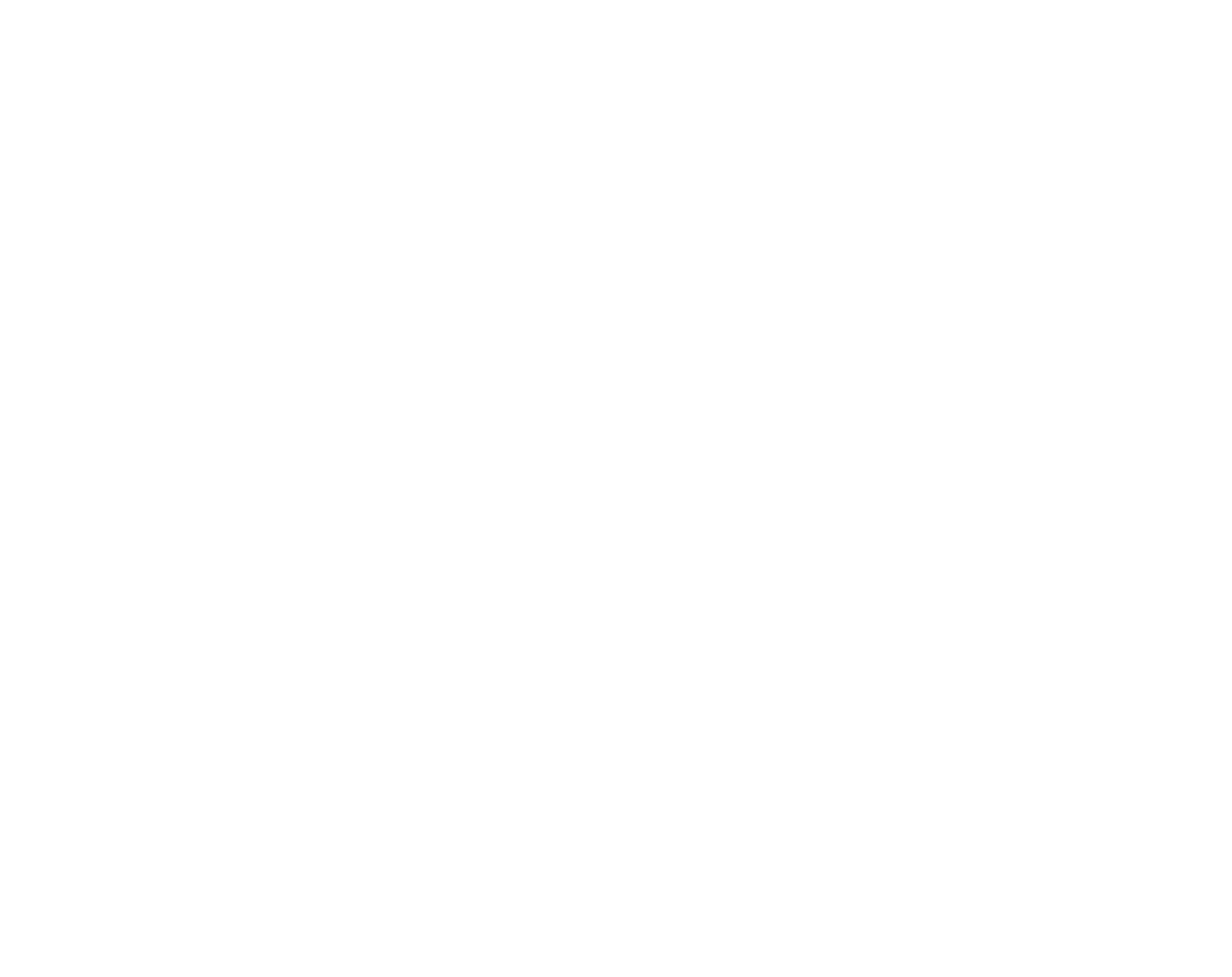Logo-Plein-Blanc passerelle conseil marchés publics suisse romande